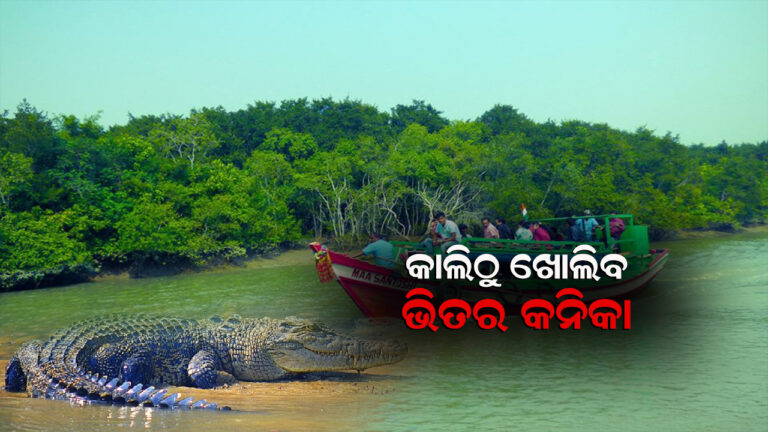 ଆସନ୍ତାକାଲି ଖୋଲିବ ଭିତରକନିକା ଜାତୀୟ ଉଦ୍ୟାନ