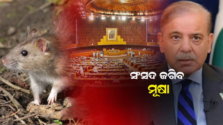 ପାକିସ୍ତାନ ସଂସଦ ଜଗିବେ ତାଲିମପ୍ରାପ୍ତ ମୂଷା