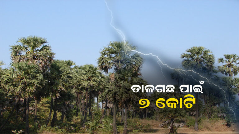 ତାଳ ଗଛ ଲଗାଇବା ପାଇଁ ୭ କୋଟି ଟଙ୍କା